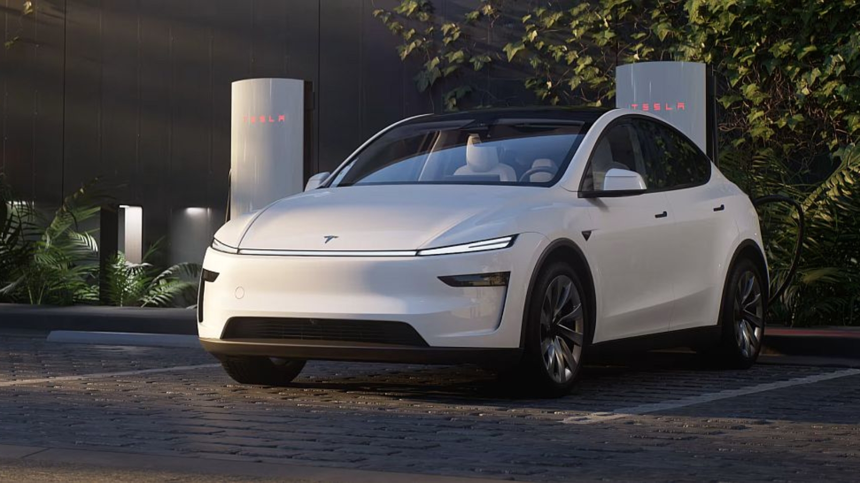 Tesla Großkunden