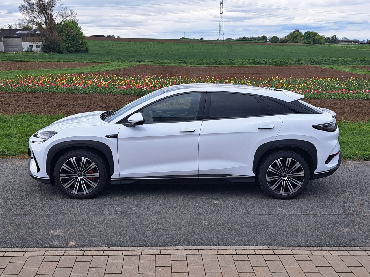 BYD Sealion 7: Der Eroberer aus China? BYD Sealion 7: Der Eroberer aus China?