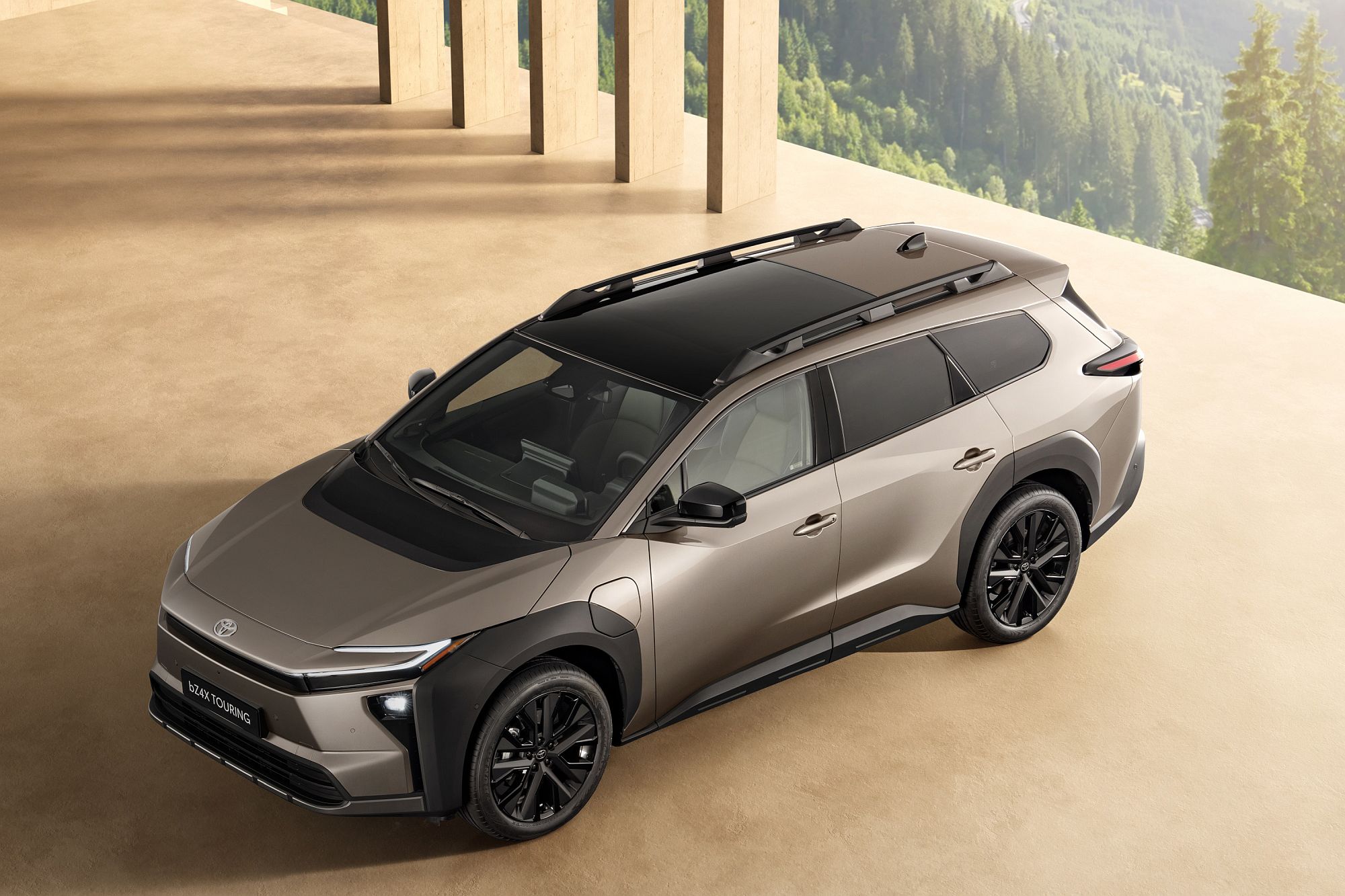 Dänemark Elektroautos