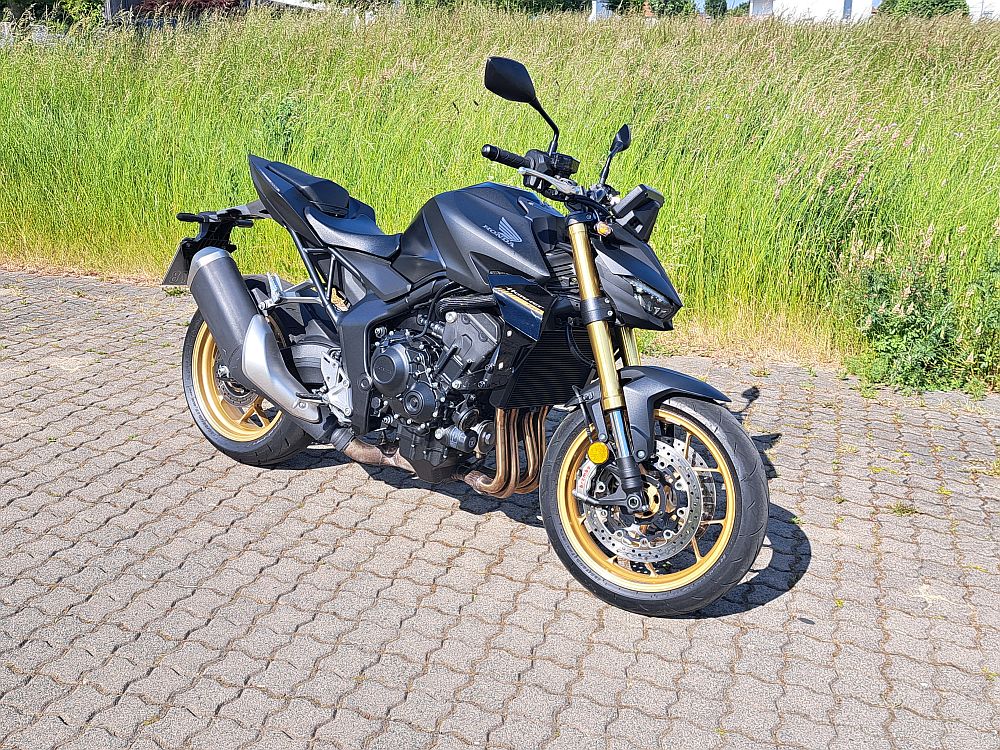 Hornet 1000