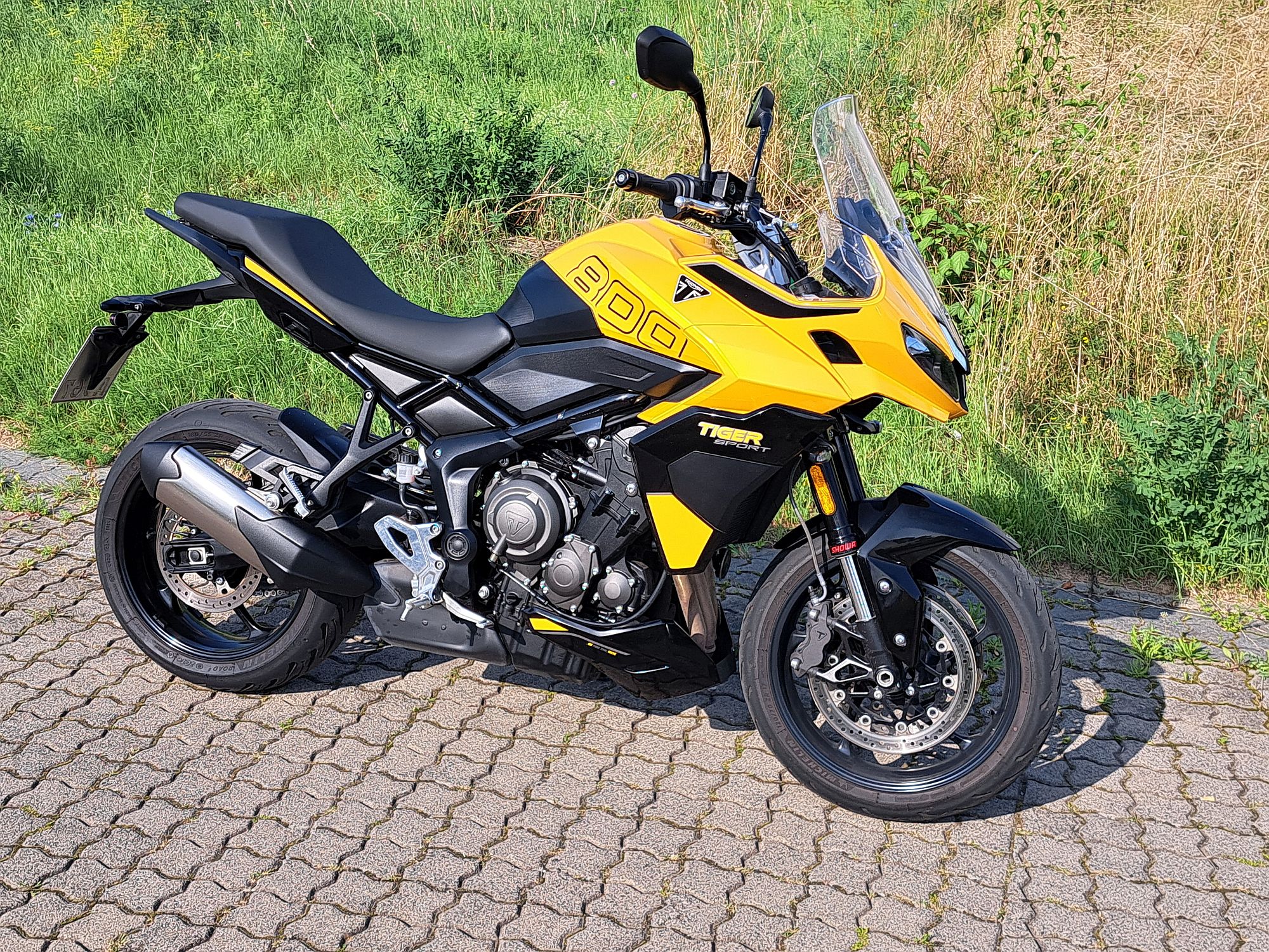 Tiger Sport 800