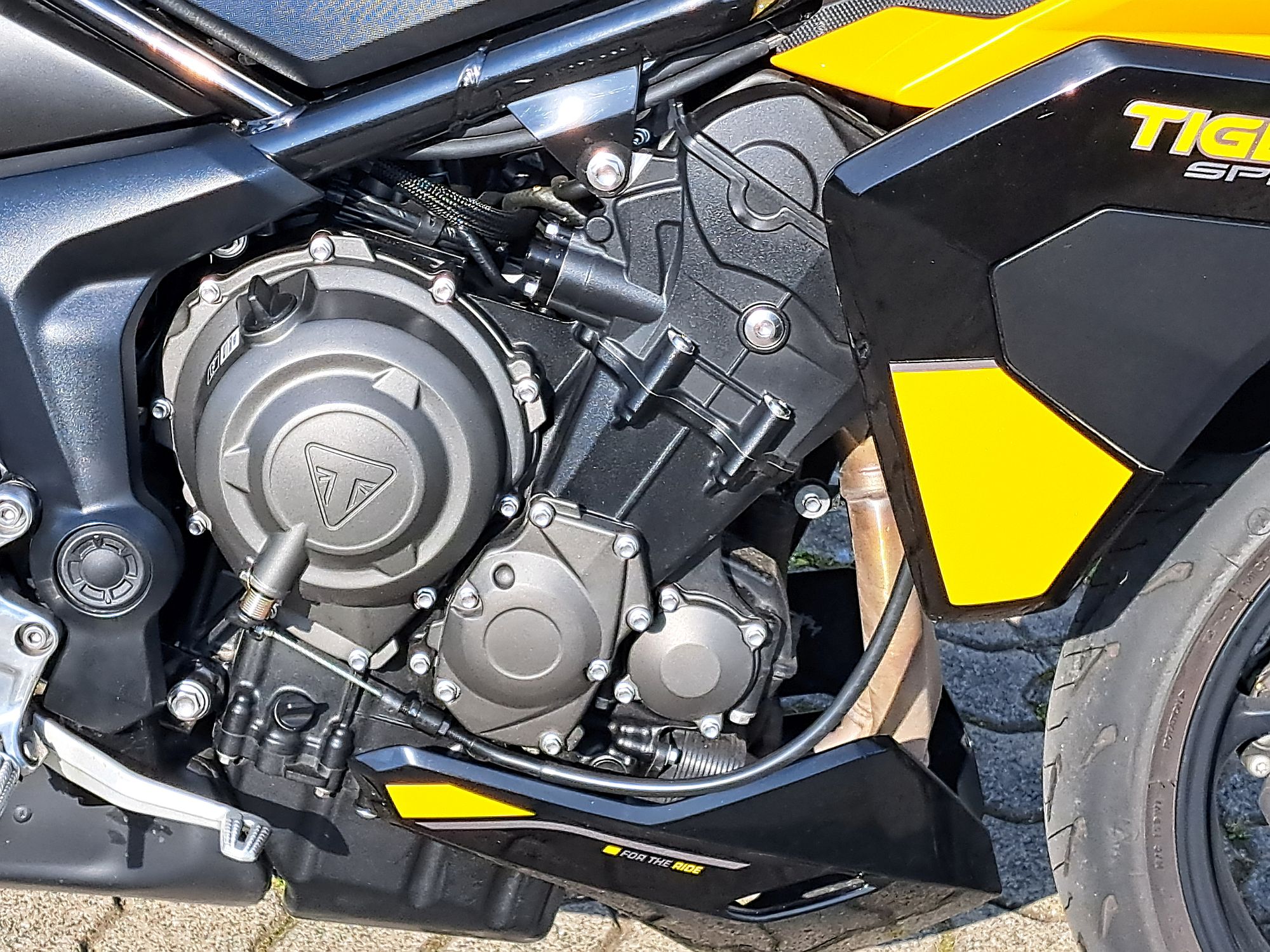 Tiger Sport 800