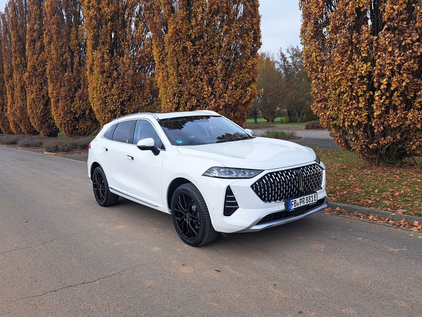 Test-Tagebuch: GWM Wey 05 Premium