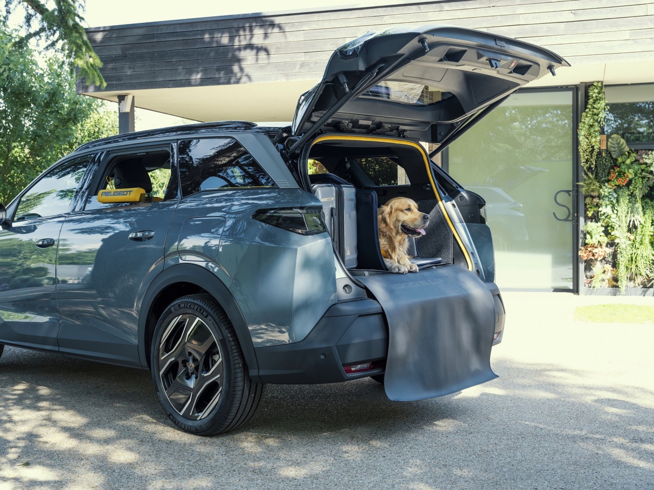 Das Auto für den Hundefreund