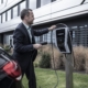 E-Autos Fuhrpark