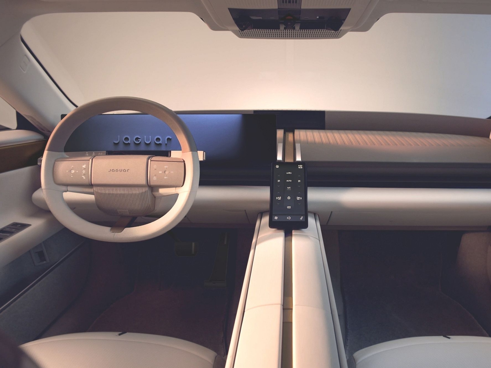 Jaguar 01
